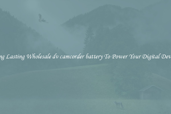 Long Lasting Wholesale dv camcorder battery To Power Your Digital Devices