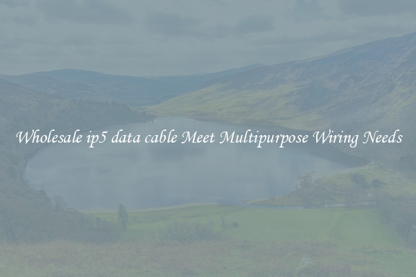 Wholesale ip5 data cable Meet Multipurpose Wiring Needs