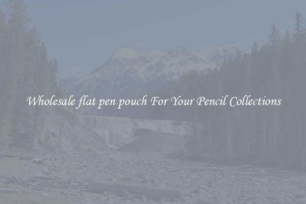 Wholesale flat pen pouch For Your Pencil Collections