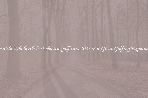 Versatile Wholesale best electric golf cart 2023 For Great Golfing Experience 