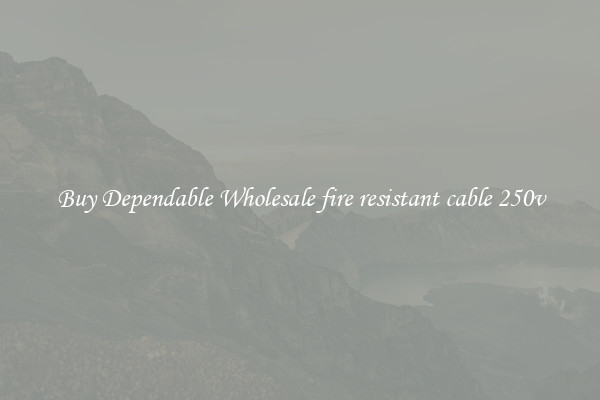 Buy Dependable Wholesale fire resistant cable 250v