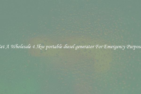 Get A Wholesale 4.5kw portable diesel generator For Emergency Purposes