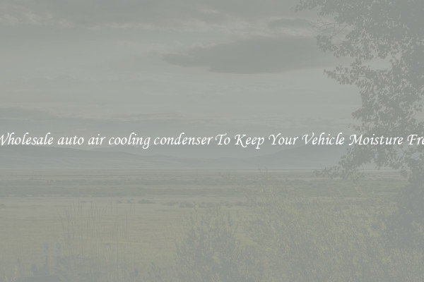 Wholesale auto air cooling condenser To Keep Your Vehicle Moisture Free