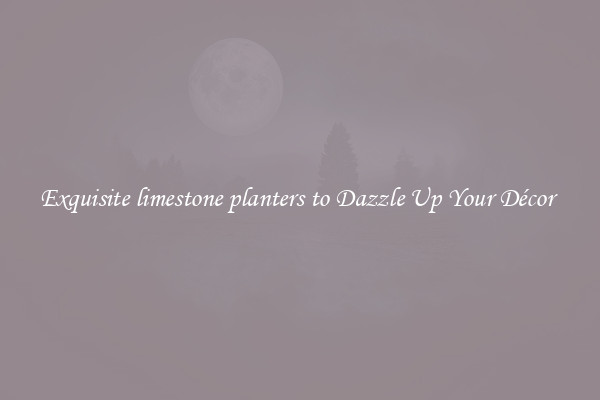 Exquisite limestone planters to Dazzle Up Your Décor 