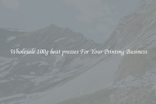 Wholesale 100g heat presses For Your Printing Business