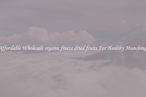Affordable Wholesale organic freeze dried fruits For Healthy Munching 