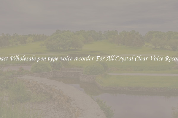 Compact Wholesale pen type voice recorder For All Crystal Clear Voice Recordings
