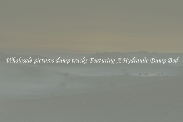 Wholesale pictures dump trucks Featuring A Hydraulic Dump Bed