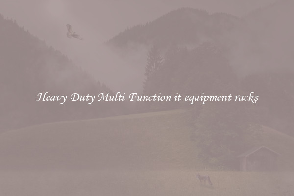 Heavy-Duty Multi-Function it equipment racks