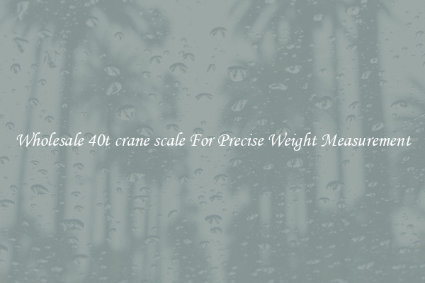 Wholesale 40t crane scale For Precise Weight Measurement