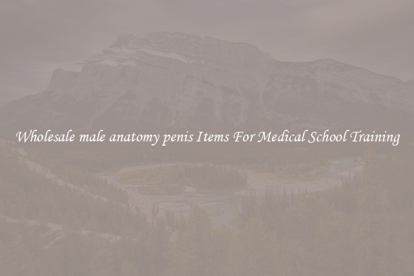 Wholesale male anatomy penis Items For Medical School Training