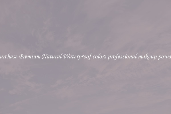 Purchase Premium Natural Waterproof colors professional makeup powder